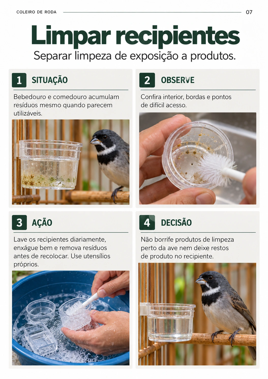Prévia 3